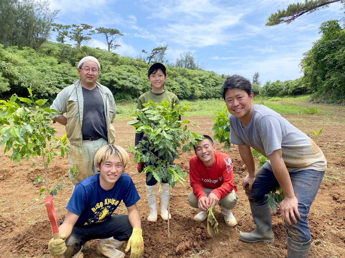 ③伊良部島の新たな産業となる「コーヒー栽培」