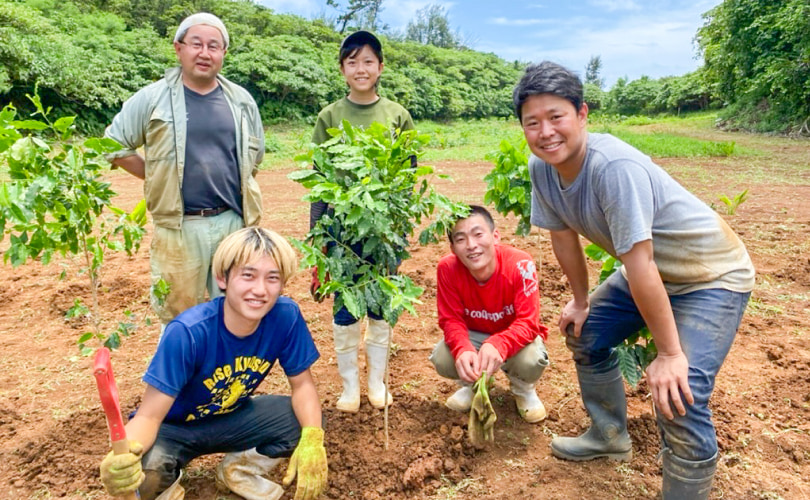 畑で野菜を収穫する様子